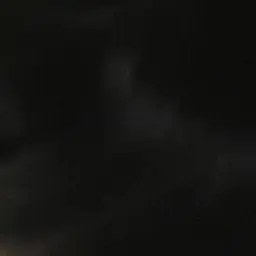Profile image of Annie