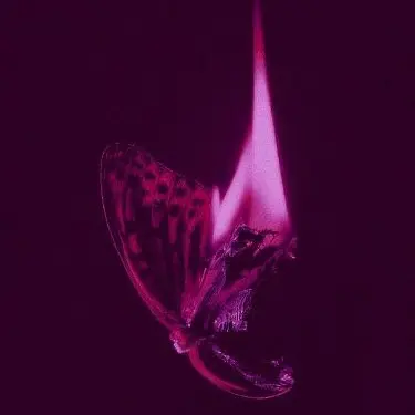 Profile image of 慄