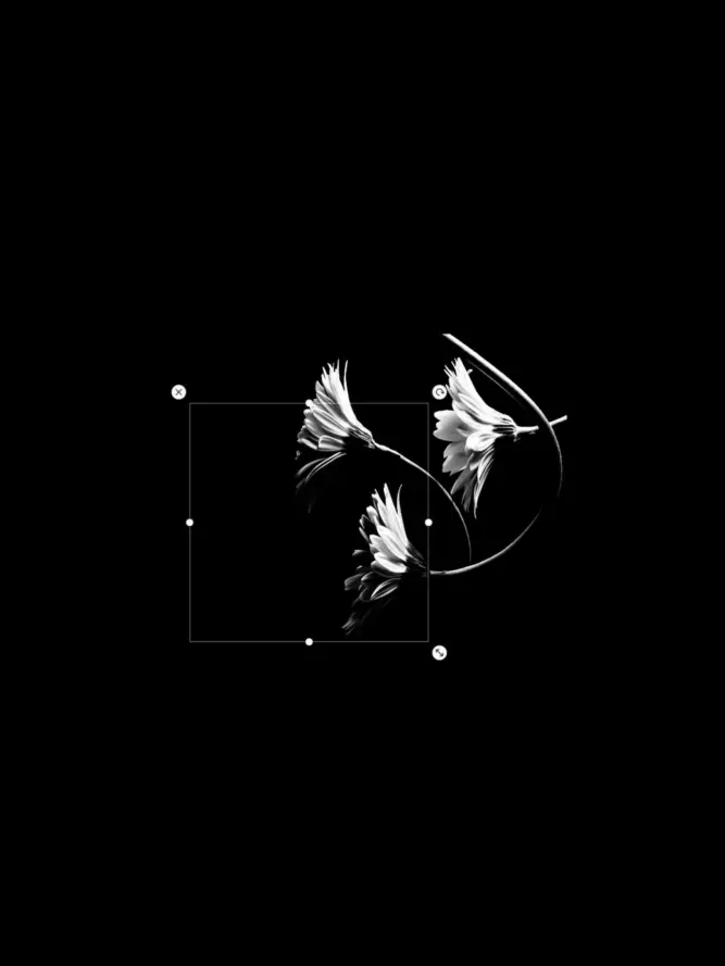 r._ezrc의 お帰りなさいませご主人様