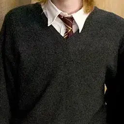 FetidPot2659의 위즐리 쌍둥이