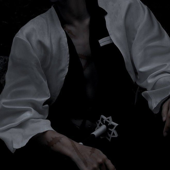 시나즈가와 사네미 대표 이미지