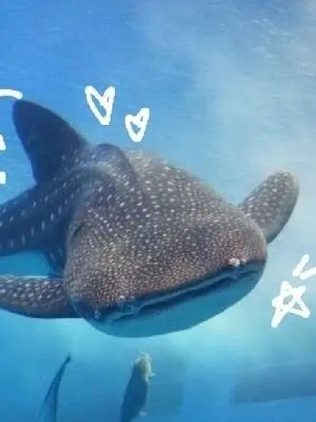 FluidChair4704의 밴드부 일상.