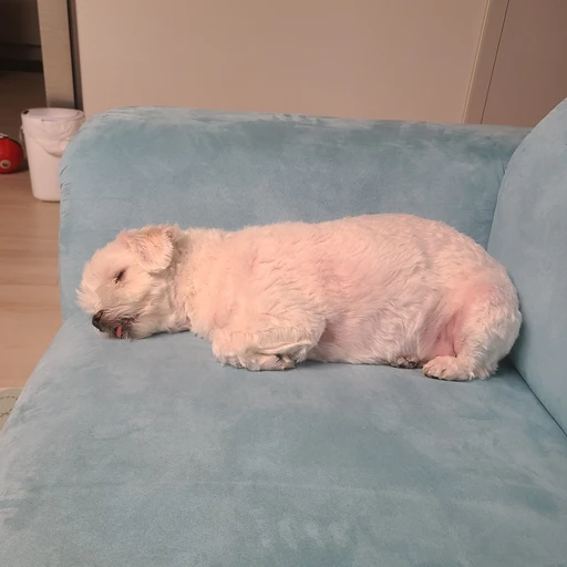 메리