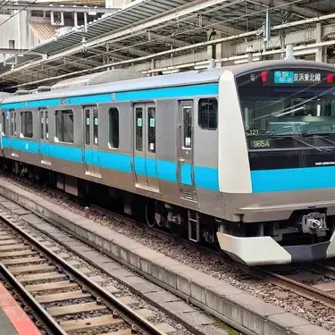 Profile image of E233계-1000