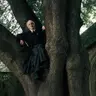 Profile image of Before Triwizard