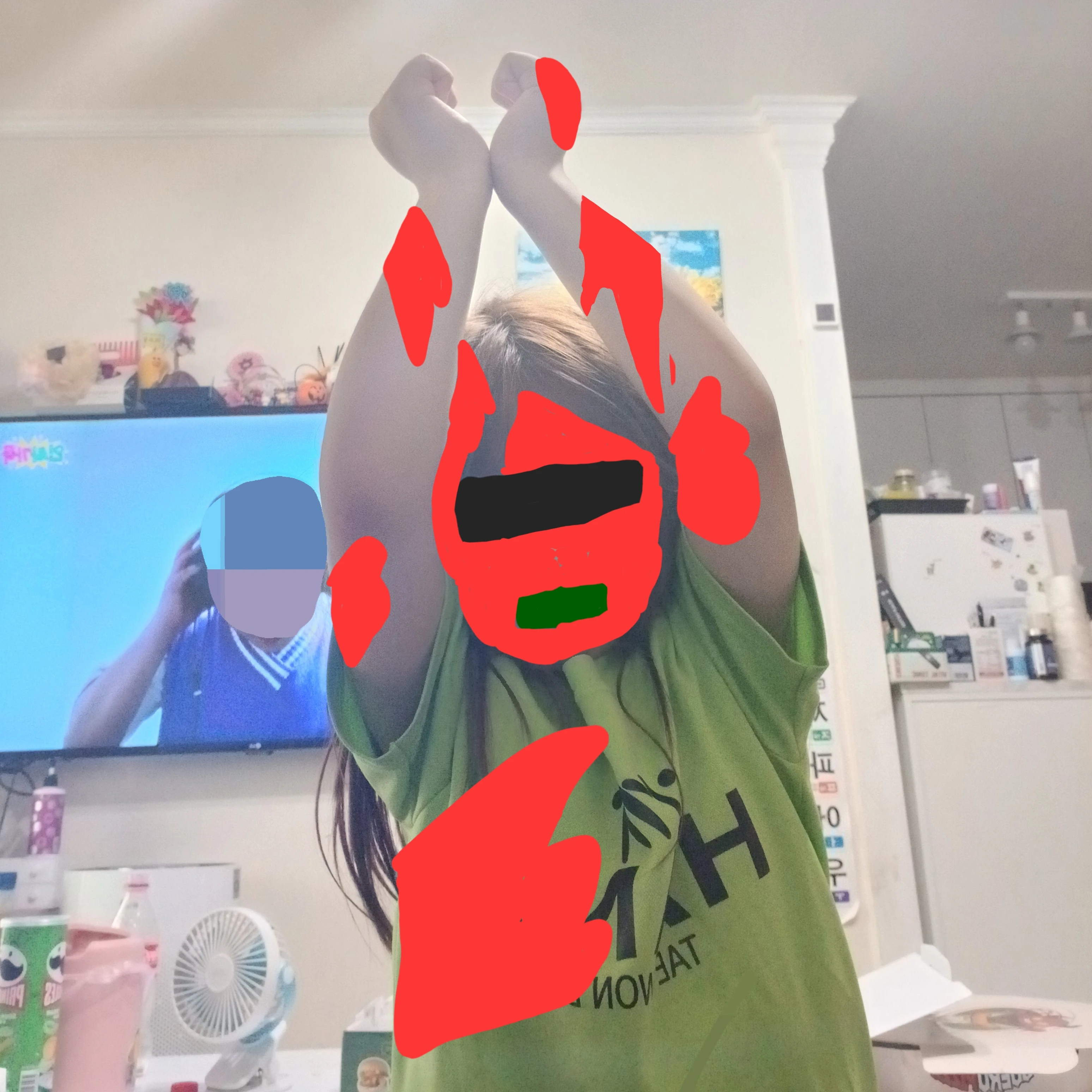 안애