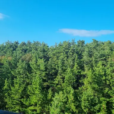 Profile image of 박덕개