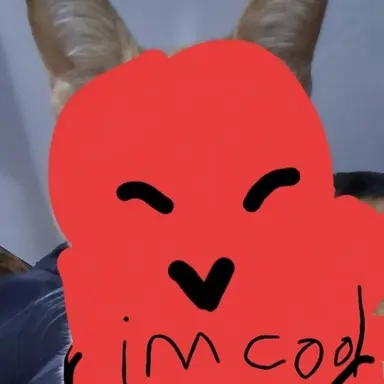 Profile image of 쿨키드