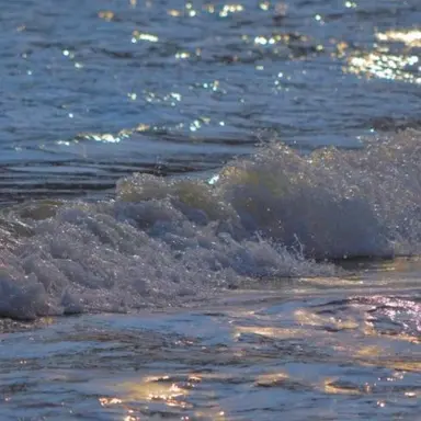 Profile image of 김_동_현