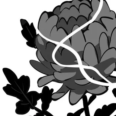 Profile image of イルミ