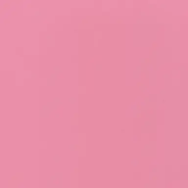 Profile image of ないこ