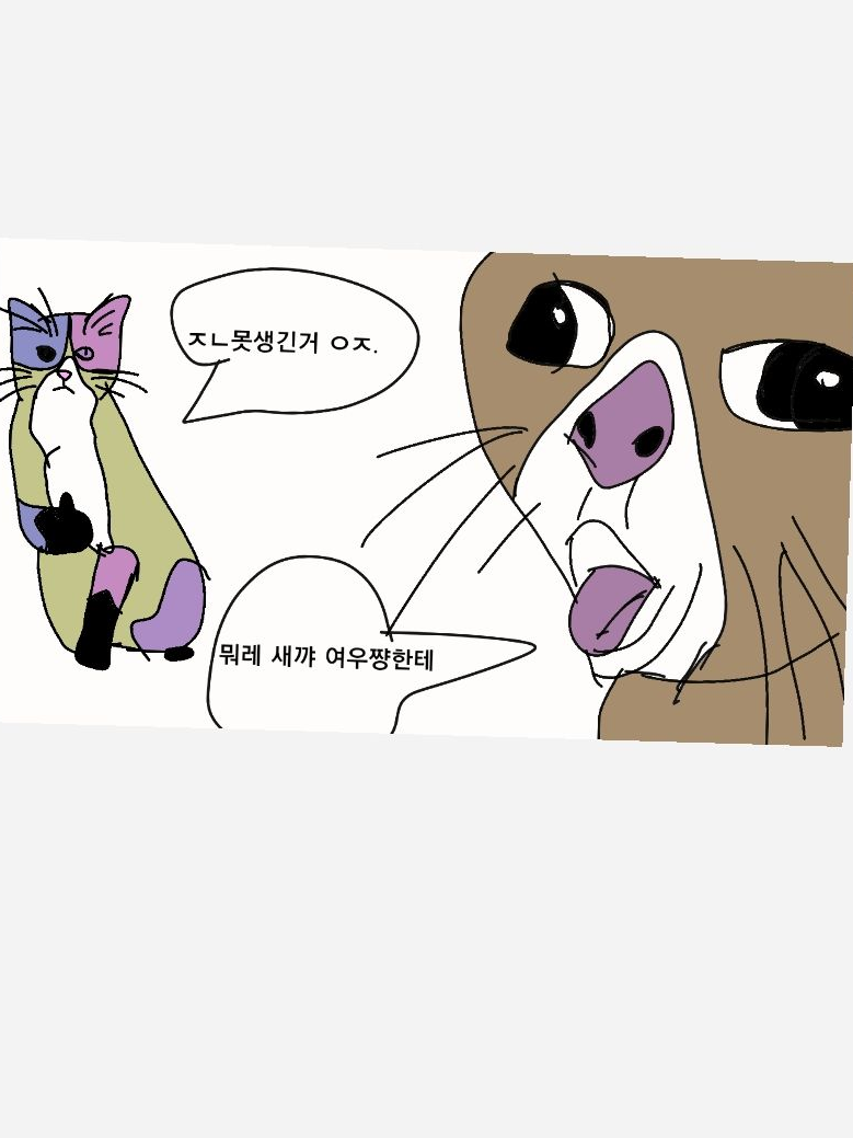Fpe 여우와 기념일 보내기 대표 이미지