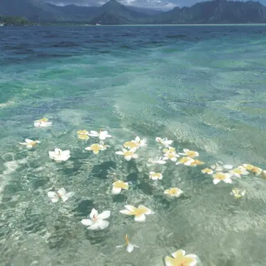 Profile image of 슈