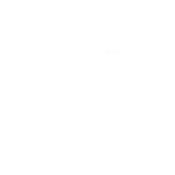 Profile image of 김동현