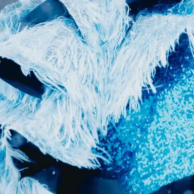 Profile image of 真中まな まなふぃー