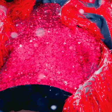 Profile image of 月足 天音 あまねき