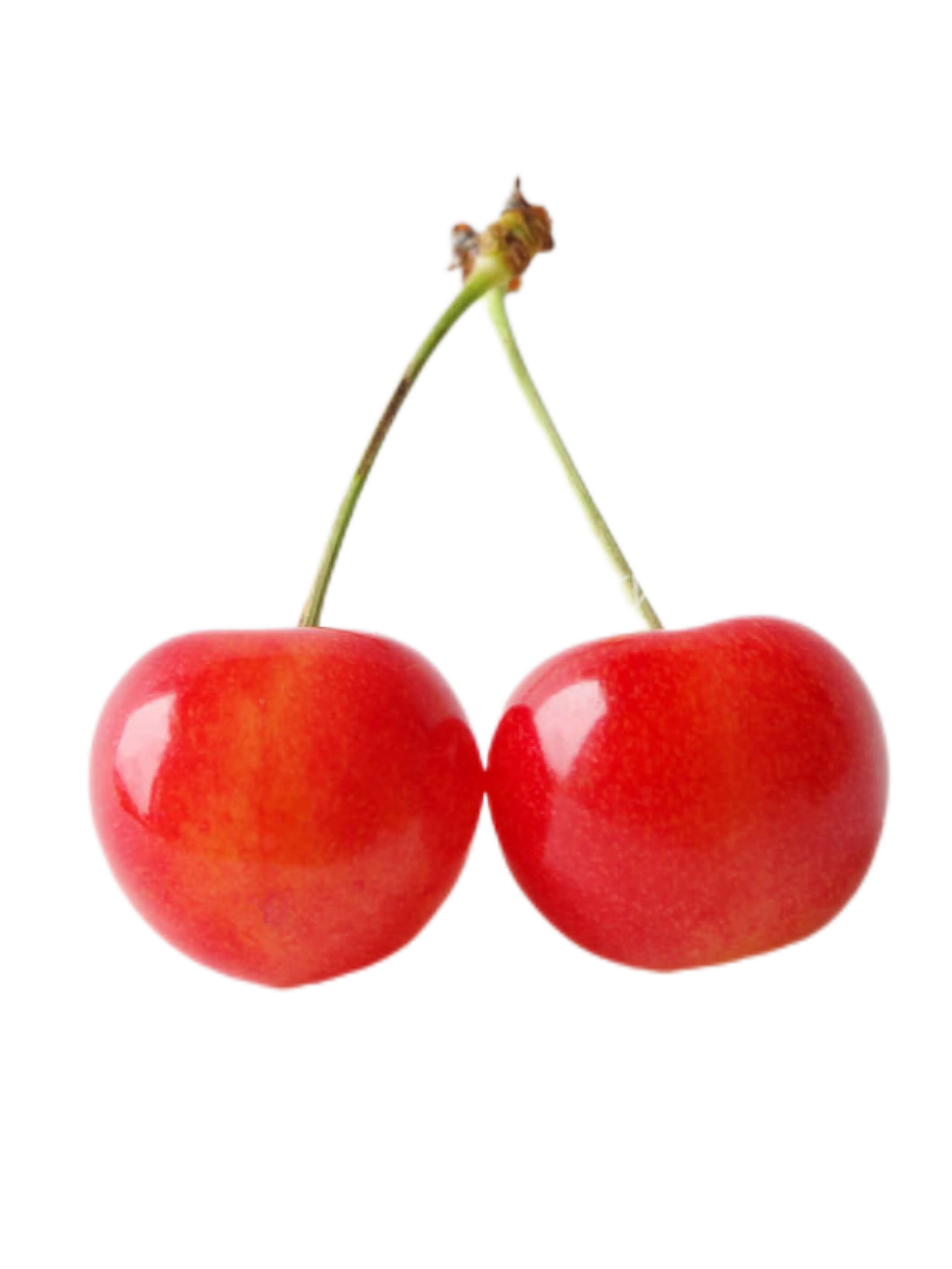 HARAJUKU의 ふるっぱーと恋がしたい