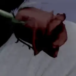 Angel_hani의 Devil in disguise