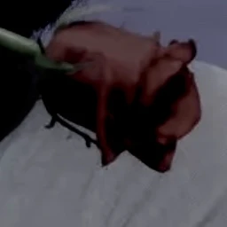 윤정핝