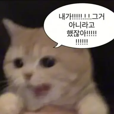Profile image of 천구