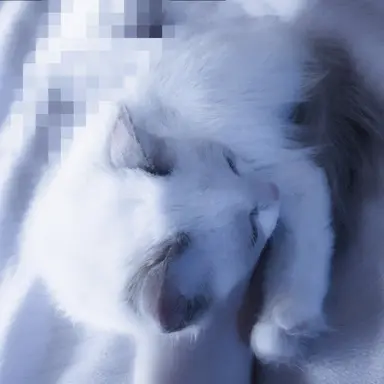 Profile image of 松田元太