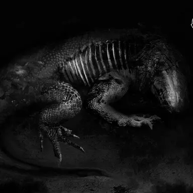Profile image of 不死身の爬虫類