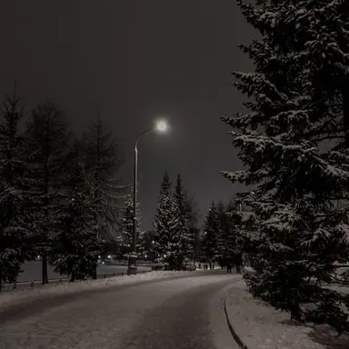 Profile image of 시나즈가와 사네미