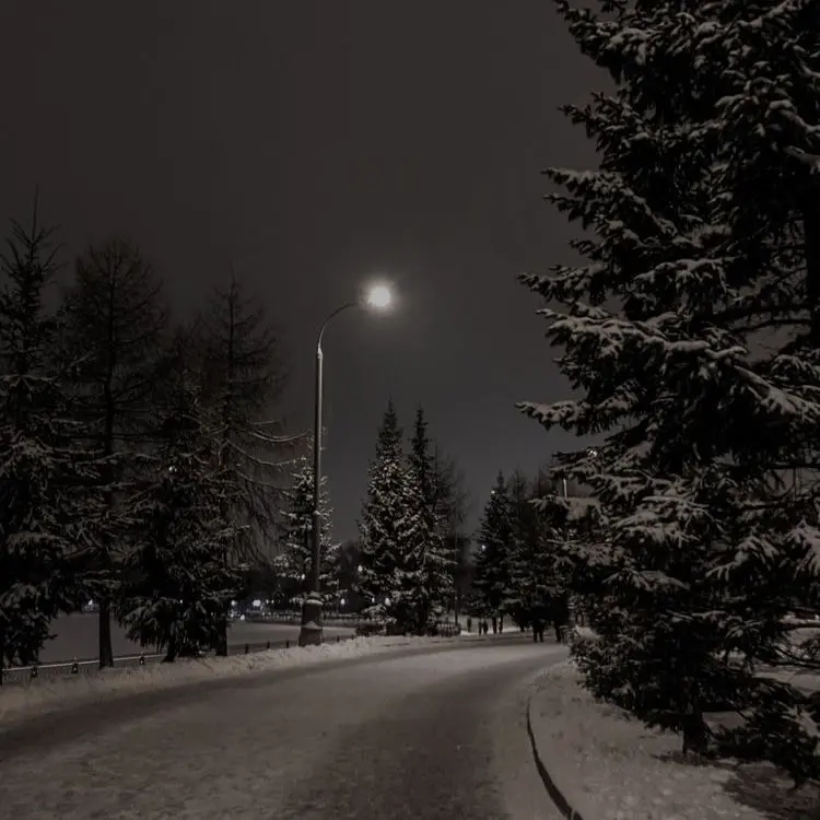 gangedor12의 외로움 잘타는 백호랑이