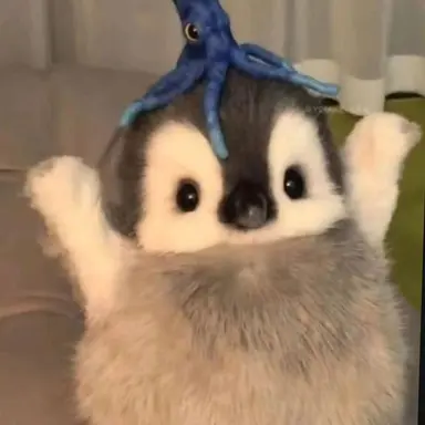 Profile image of 평학