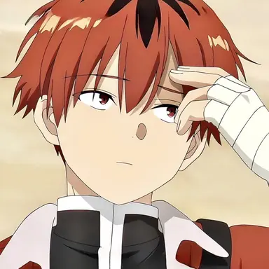 Profile image of 슈타르크