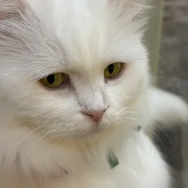 Profile image of 김건우