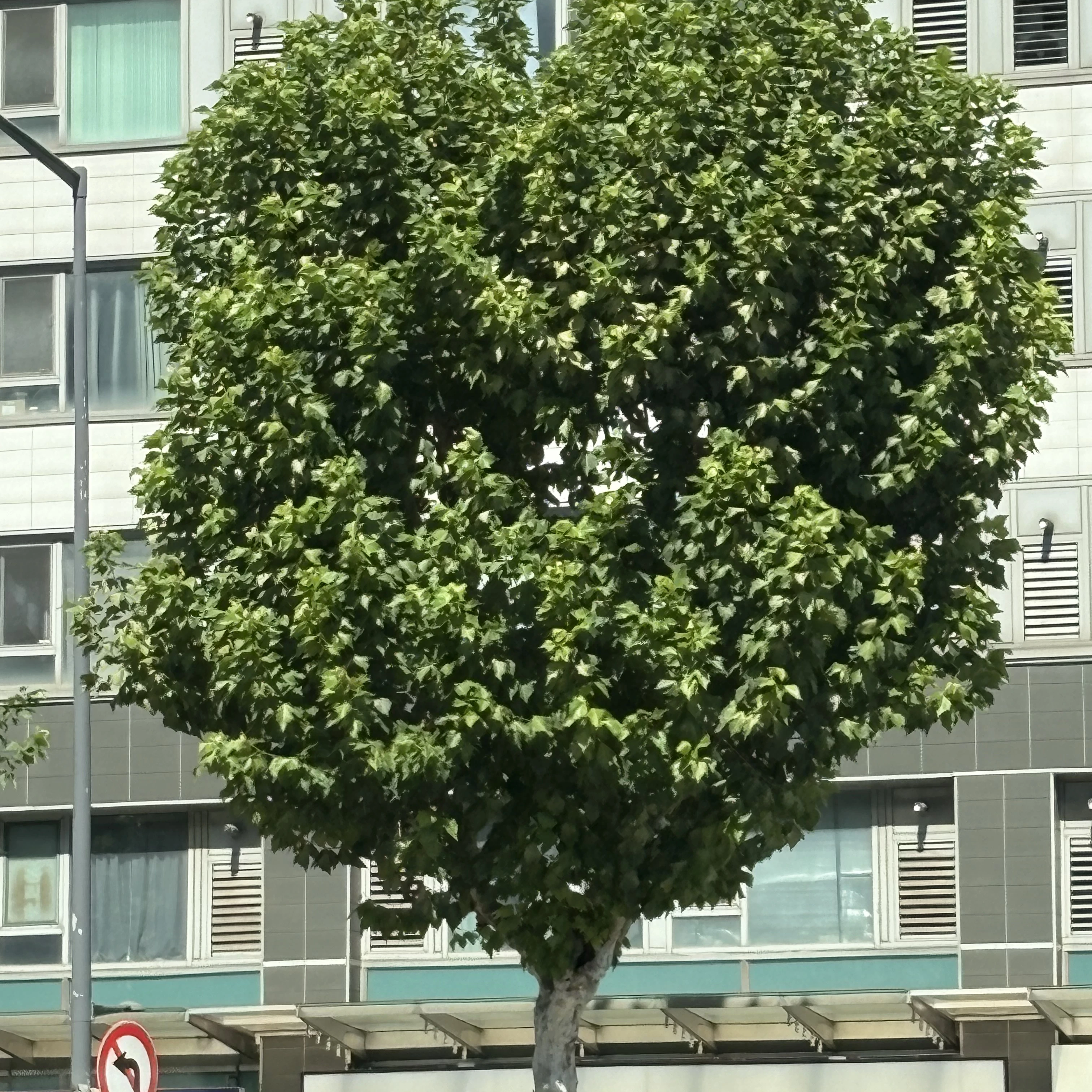 정상현