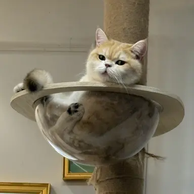 Profile image of 나윤서