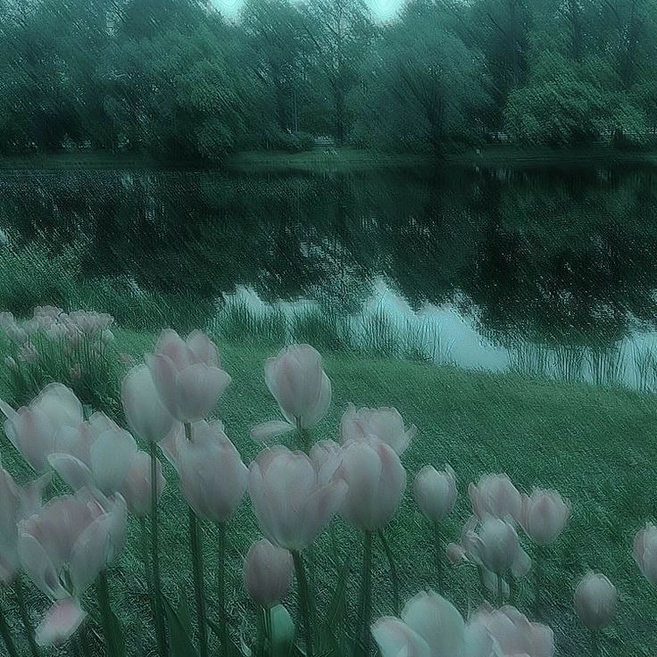 光