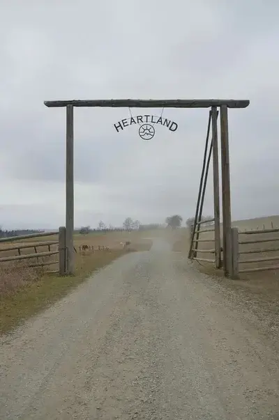 DampToe0708의 Heartland