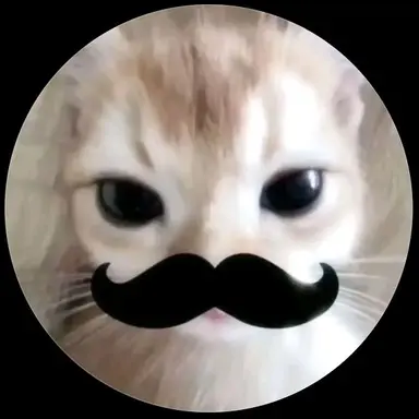 Profile image of 므엥