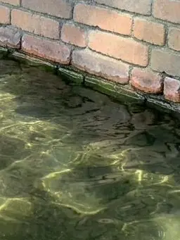 MGA_motoaya의 ミセスお泊まりわちゃわちゃ