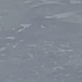 Profile image of 大森元貴