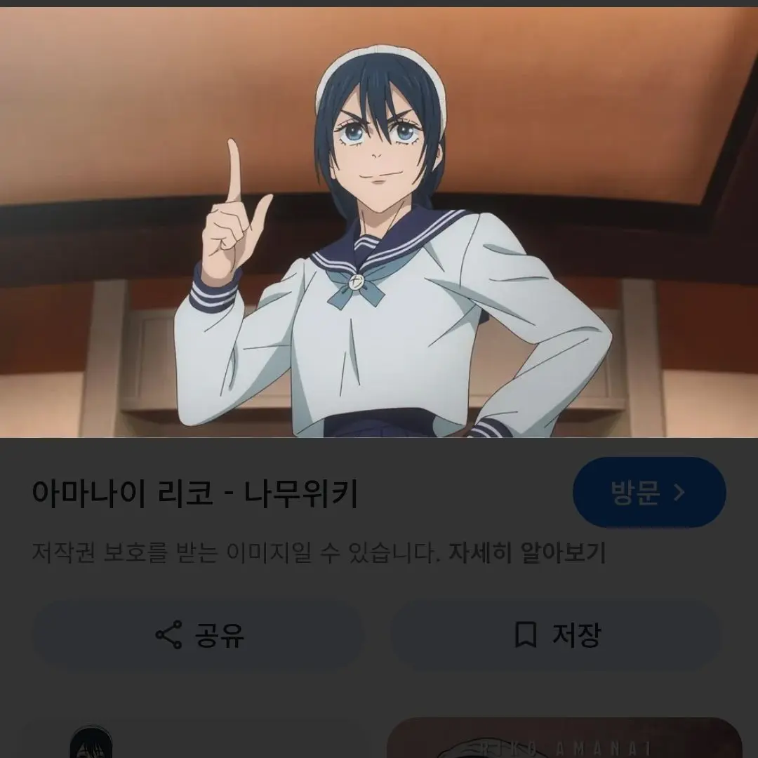 PaddedPhone2875의 주술회전산책