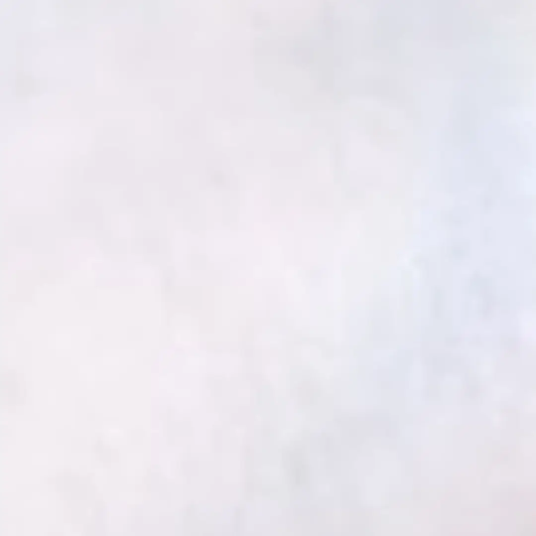 CrazyWok4317의 황현진