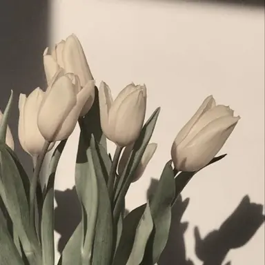 Profile image of ジョシュア