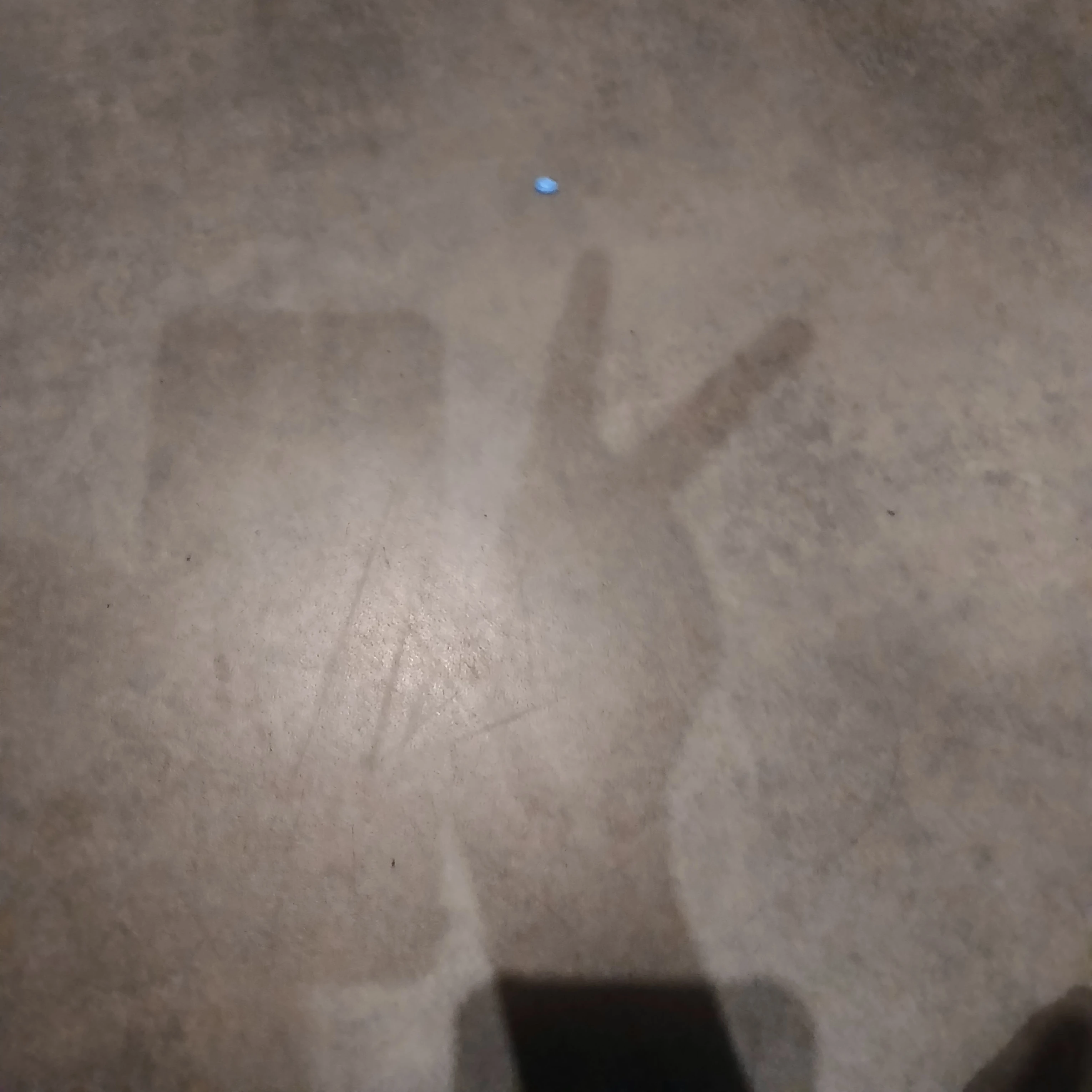 차수호