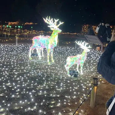 Profile image of 水山楓