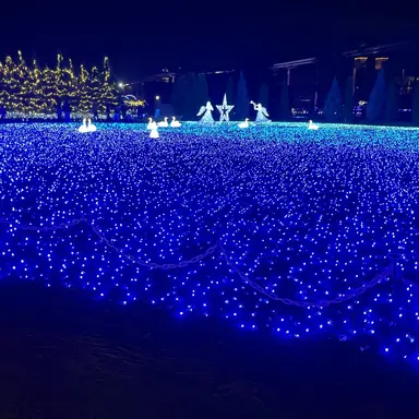 Profile image of 相川雪