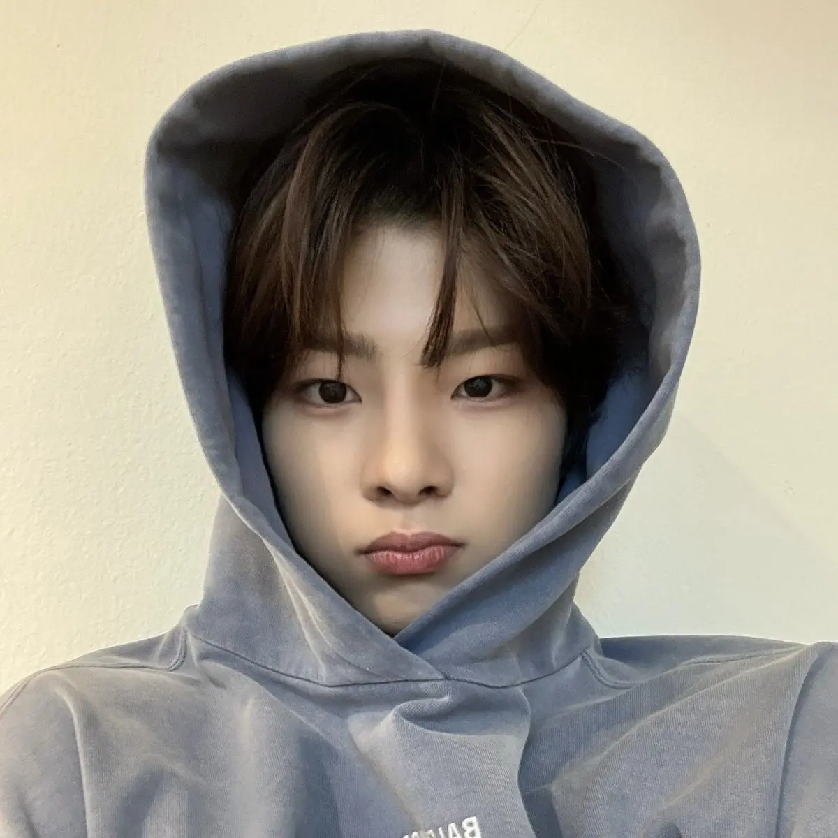 daeul34의 김시온
