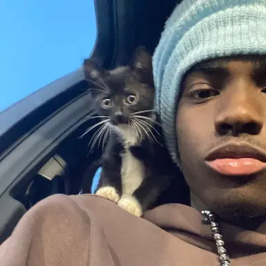 Profile image of Tyrien