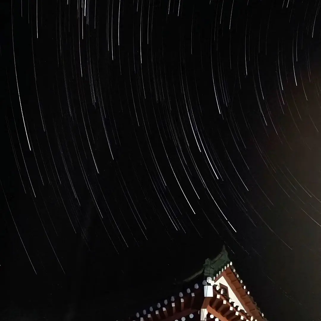 MellowFlea2226의 ㆍ