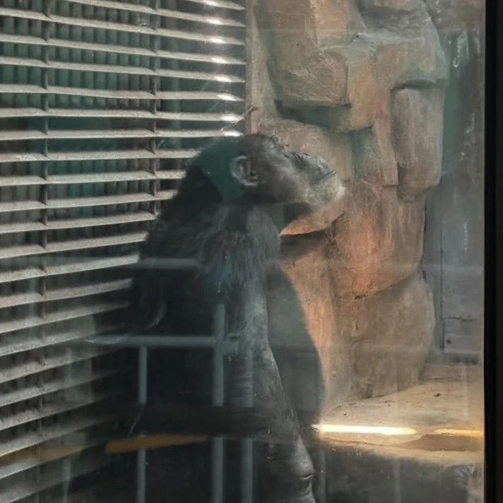 輝