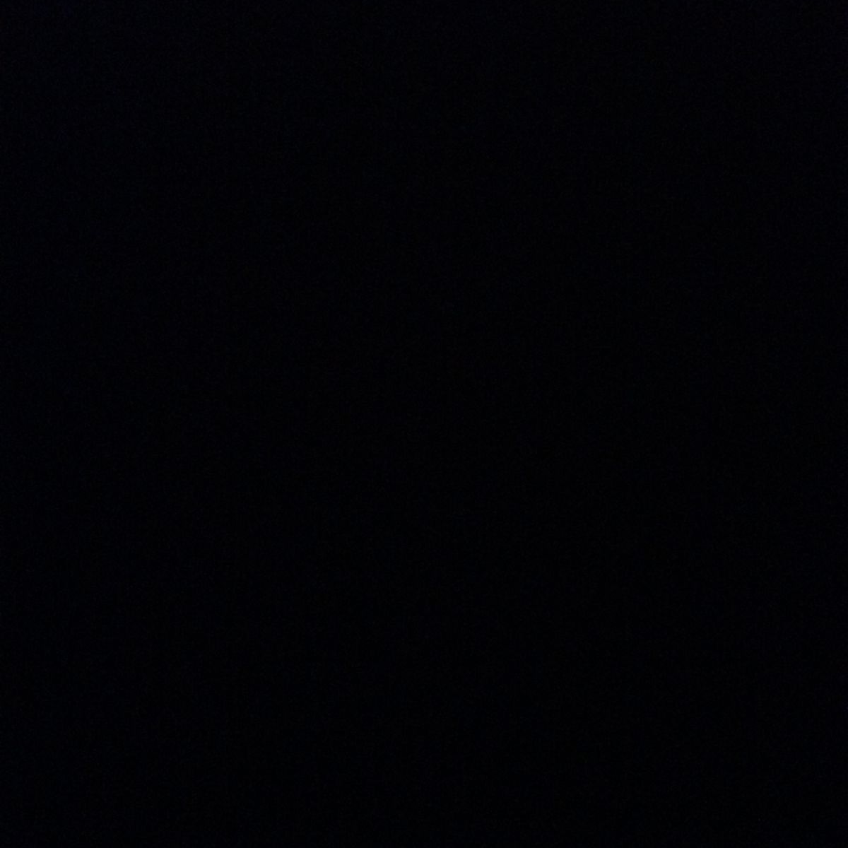 최성원 대표 이미지