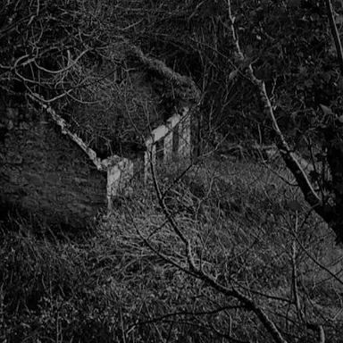 Profile image of TH3 SH4DY